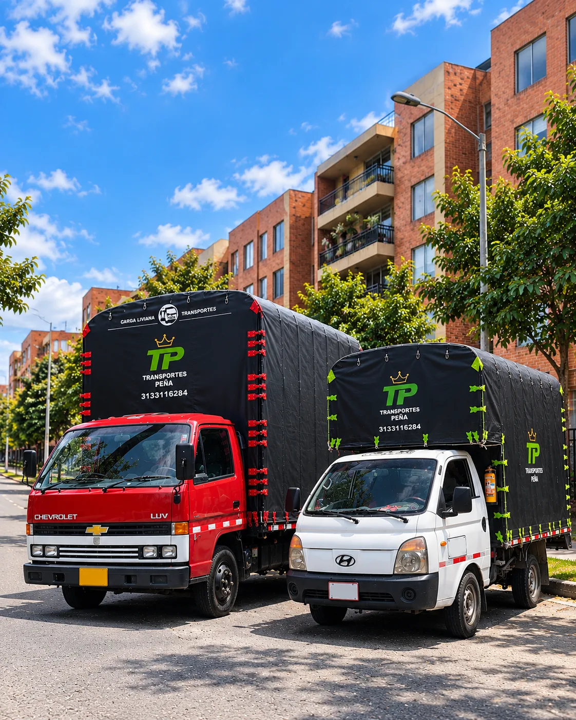 Camiones de Transportes Peña para acarreos y mudanzas en Mosquera, Funza y Madrid